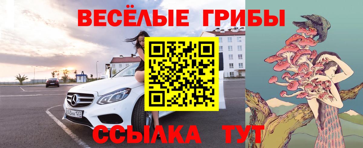 Псилоцибиновые грибы Magic Shrooms  где купить наркоту  Борисоглебск 