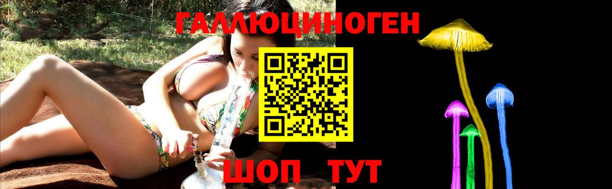 Борисоглебск  Галлюциногенные грибы Psilocybine cubensis  Вход с VPN  Псилоцибиновые грибы Psilocybe 