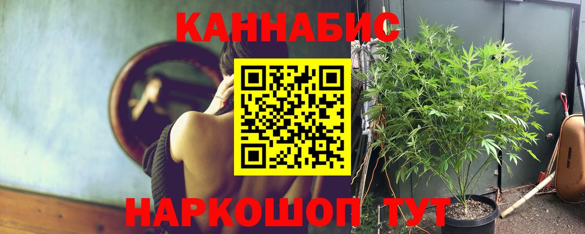 Каннабис планчик  Вход с VPN  Бошки Шишки Bruce Banner  Каннабис White Widow  МАРИХУАНА план  Борисоглебск 